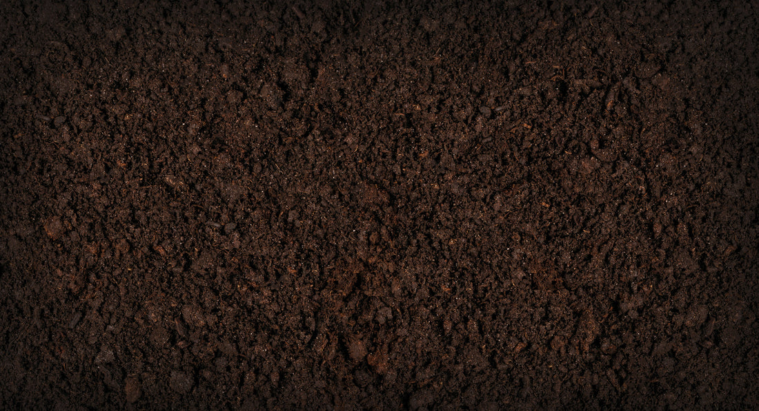 Topsoil Delivery Sunshine Coast: What You Need to Know Before You Order